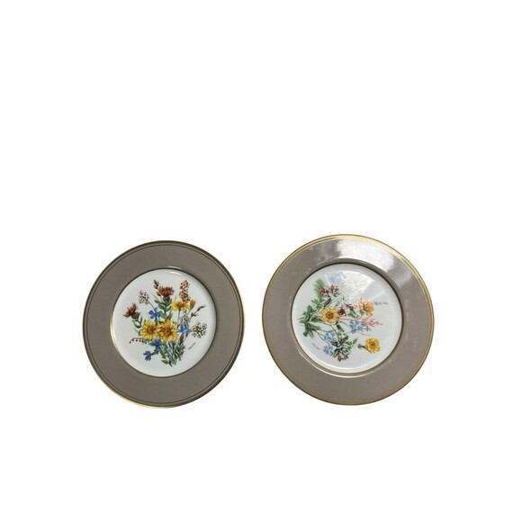 Mikasa Cathy Hardwick Parchment Taupe Appetizer Or Dessert Plate A6825 Set Of 2 - Picture 6 of 12